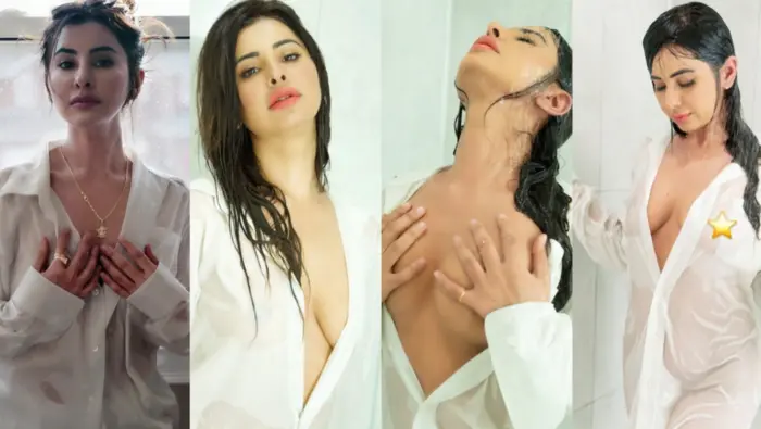 Punjabi Girl Meetii Kalher 5 BG BBC Sextapes Full Video